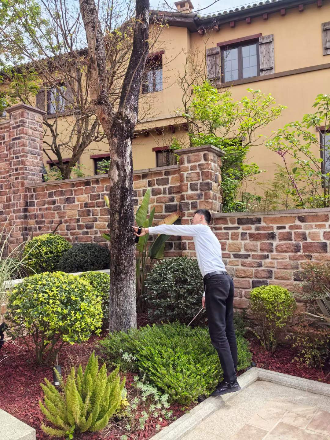 白蟻高發(fā)季節(jié)到了，您預防了嗎？